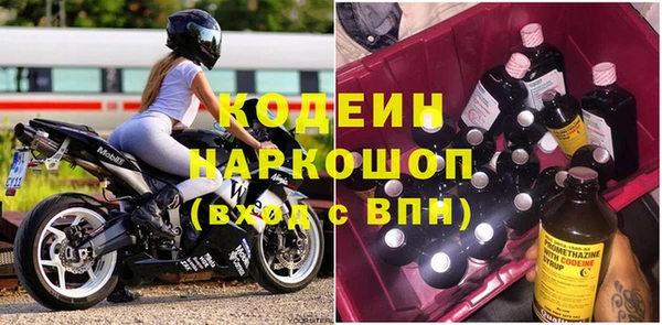 молекула духа Алзамай