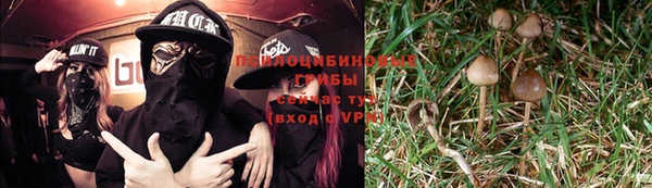 дживик Алексин
