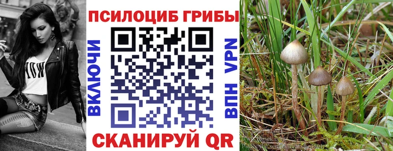 Галлюциногенные грибы мухоморы Анжеро-Судженск