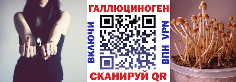 Псилоцибиновые грибы Psilocybine cubensis hydra как войти Анжеро-Судженск